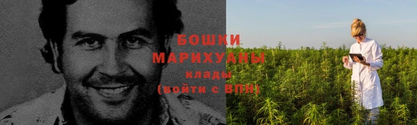 молекула духа Баксан