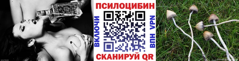 Псилоцибиновые грибы Magic Shrooms Бородино