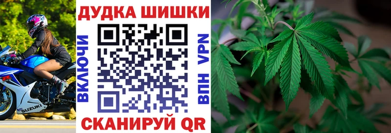 Каннабис OG Kush Бородино