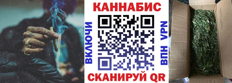 Конопля планчик Бородино
